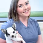 Veterinarians In Jackson GA